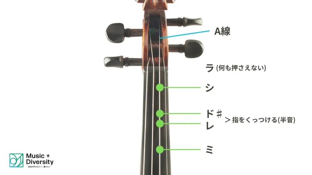 バイオリンの押さえ方 - Music Diversity作成