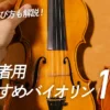 予算別の選び方も解説！初心者用バイオリンおすすめ15選